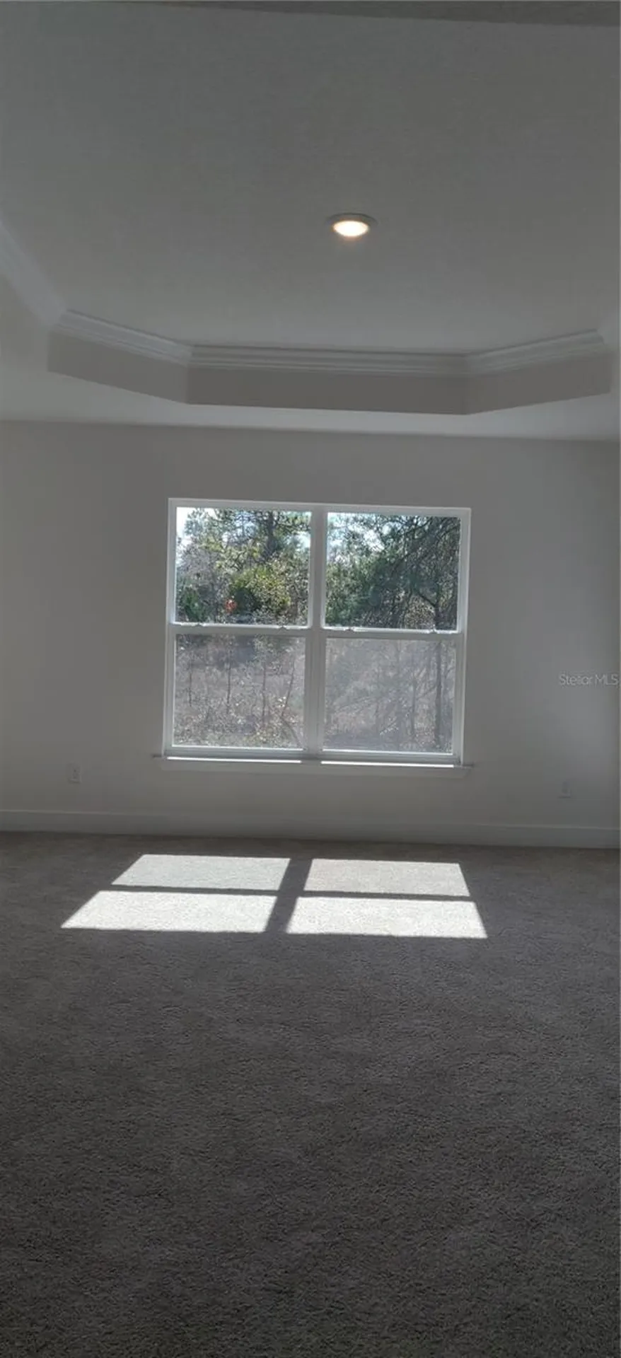 12334 Snow Goose Avenue Brooksville FL 34614