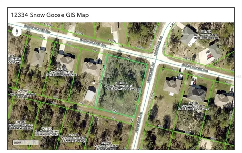 12334 Snow Goose Avenue Brooksville FL 34614