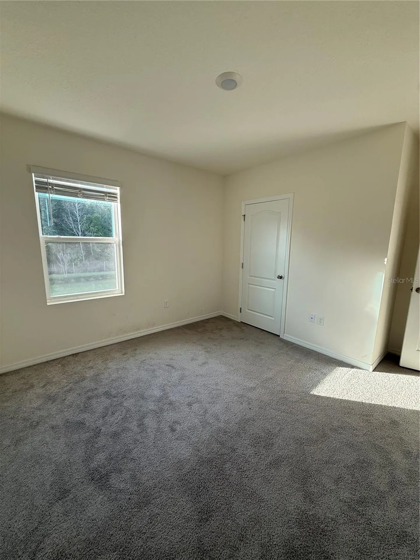 1265 Alstonia Lane Mount Dora FL 32757