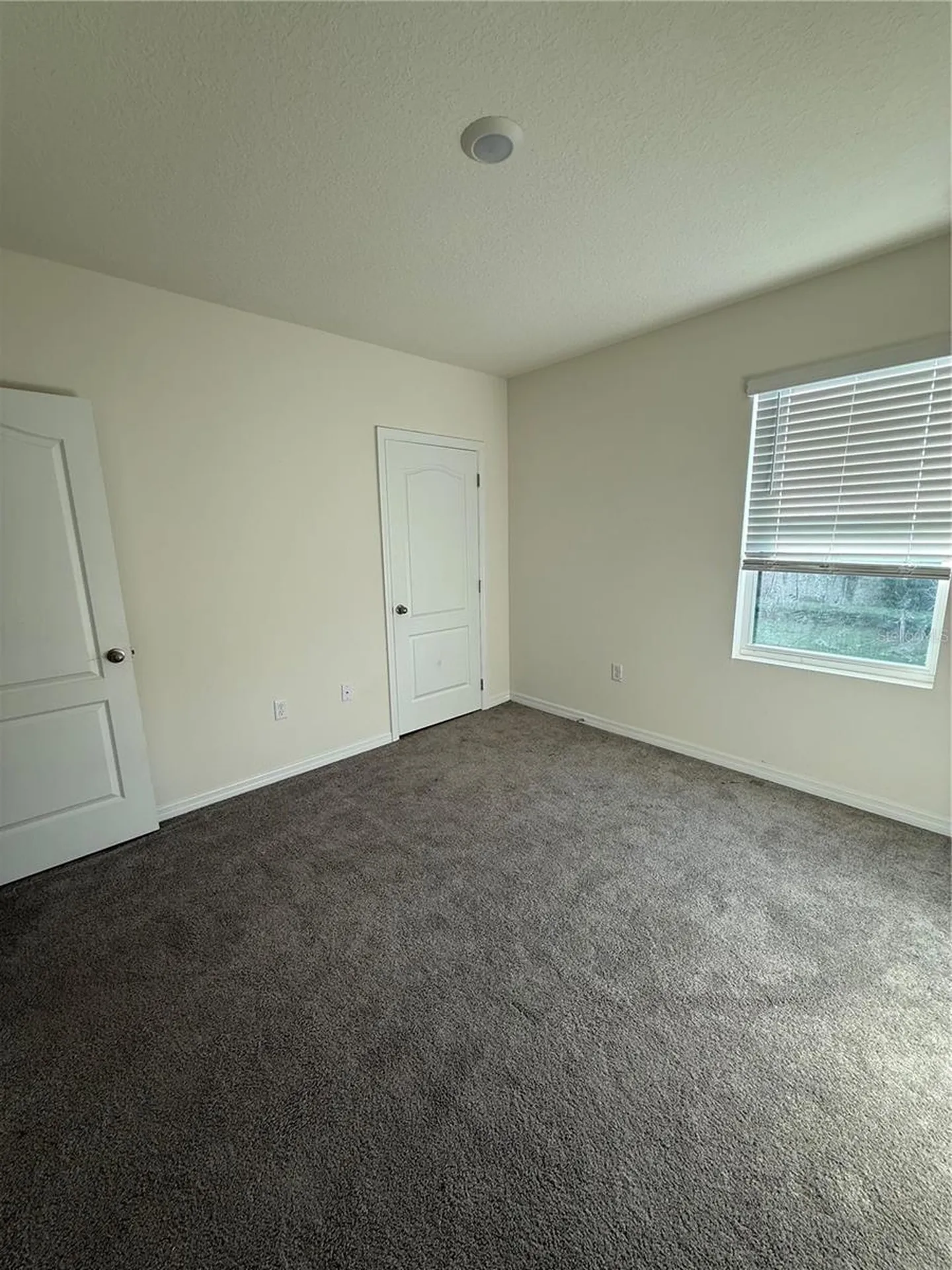 1265 Alstonia Lane Mount Dora FL 32757