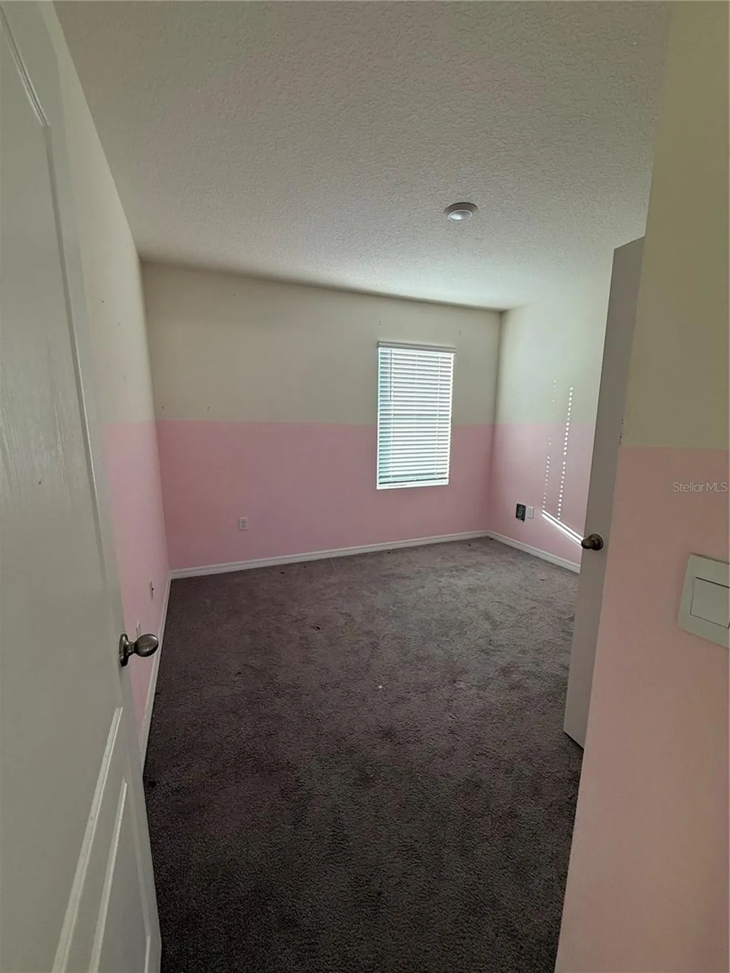 1265 Alstonia Lane Mount Dora FL 32757
