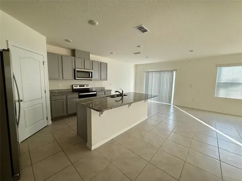 1265 Alstonia Lane Mount Dora FL 32757