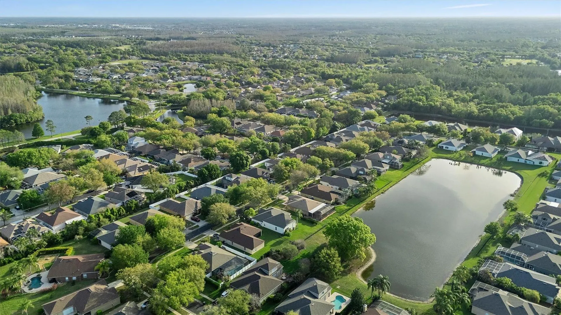 19111 Fern Meadow Loop Lutz FL 33558