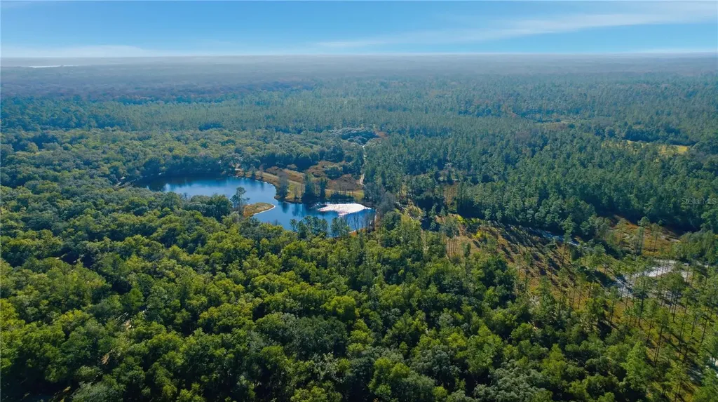 Tbd (Lot 3) NE 115th Lane Road Fort Mc Coy FL 32134
