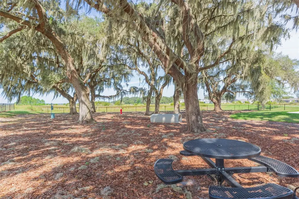 31088 Jazz Leaf Place San Antonio FL 33576