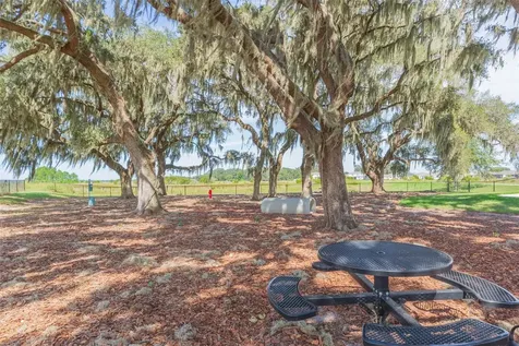 31088 Jazz Leaf Place San Antonio FL 33576