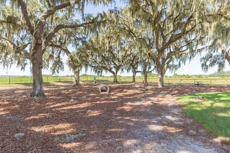 31088 Jazz Leaf Place San Antonio FL 33576