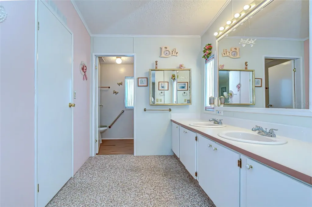 3210 Moonlight Street Wesley Chapel FL 33543