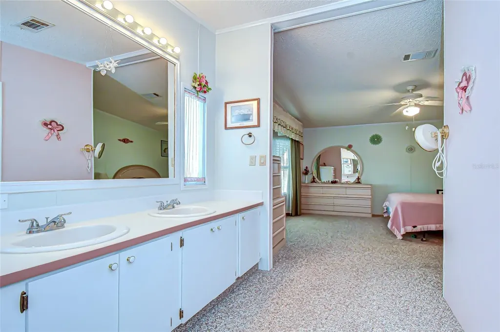 3210 Moonlight Street Wesley Chapel FL 33543
