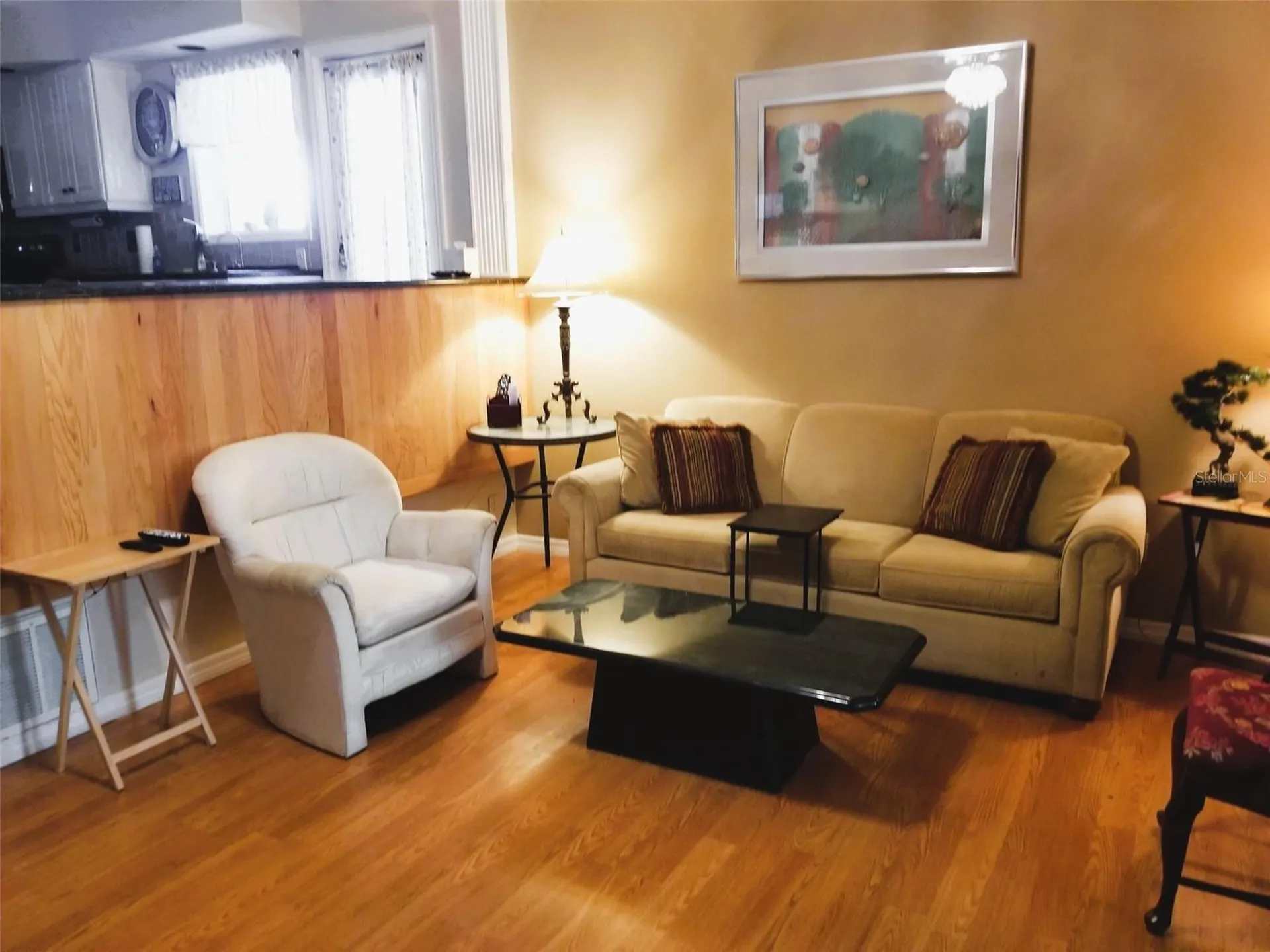 2051 Vista Del Sol Circle Lutz FL 33558