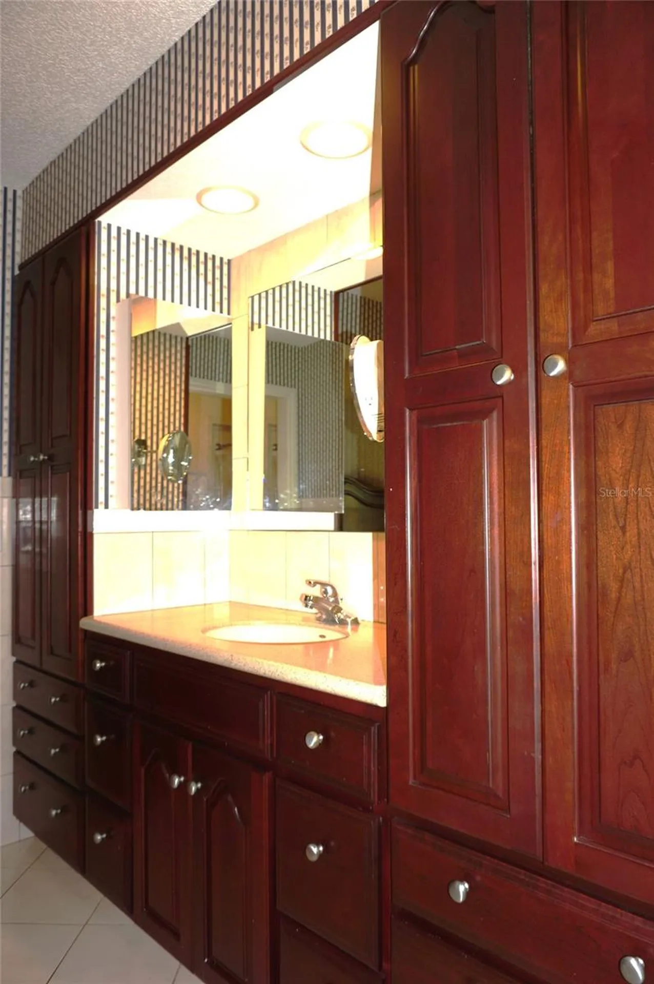 2051 Vista Del Sol Circle Lutz FL 33558