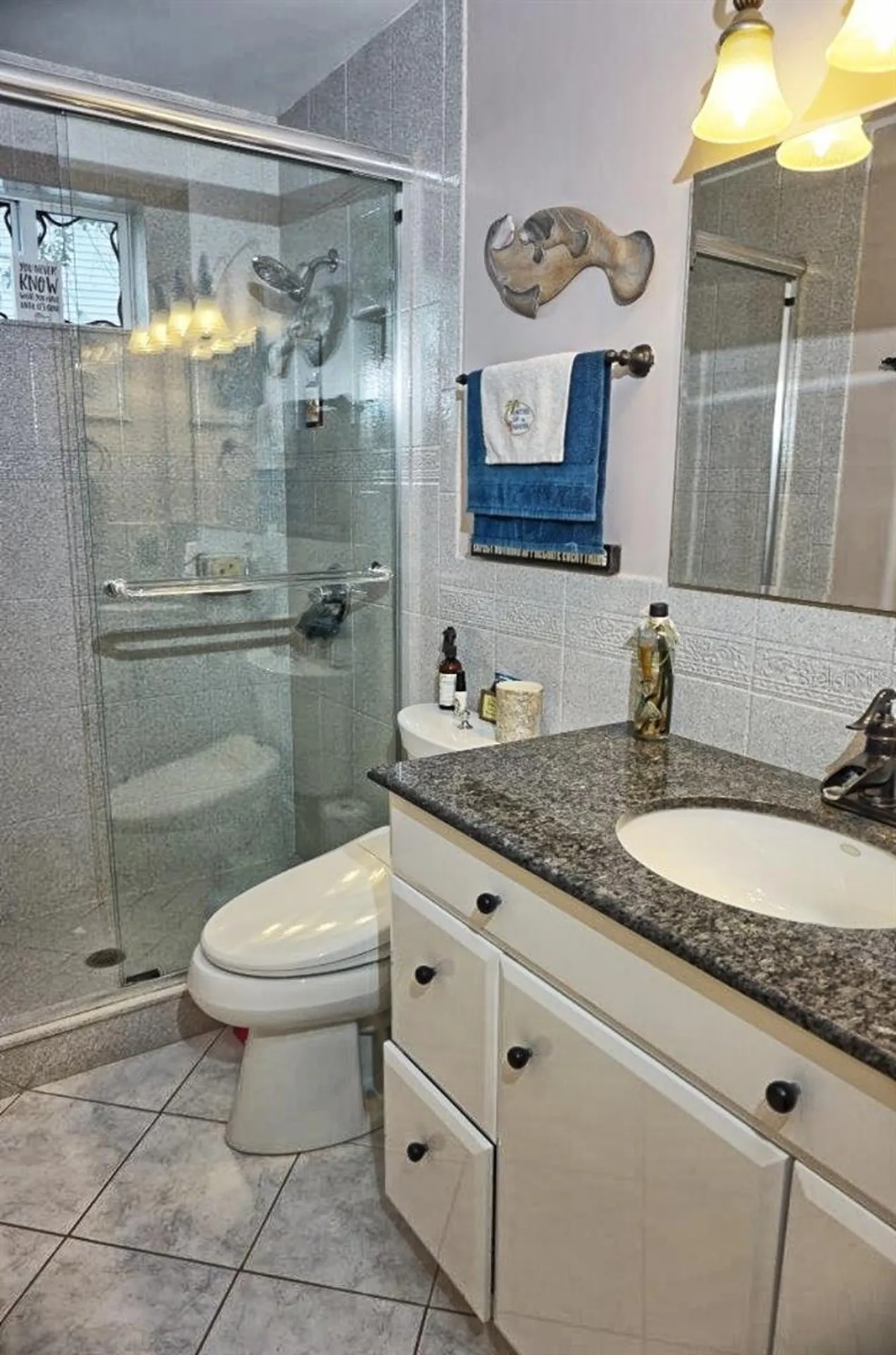 2051 Vista Del Sol Circle Lutz FL 33558