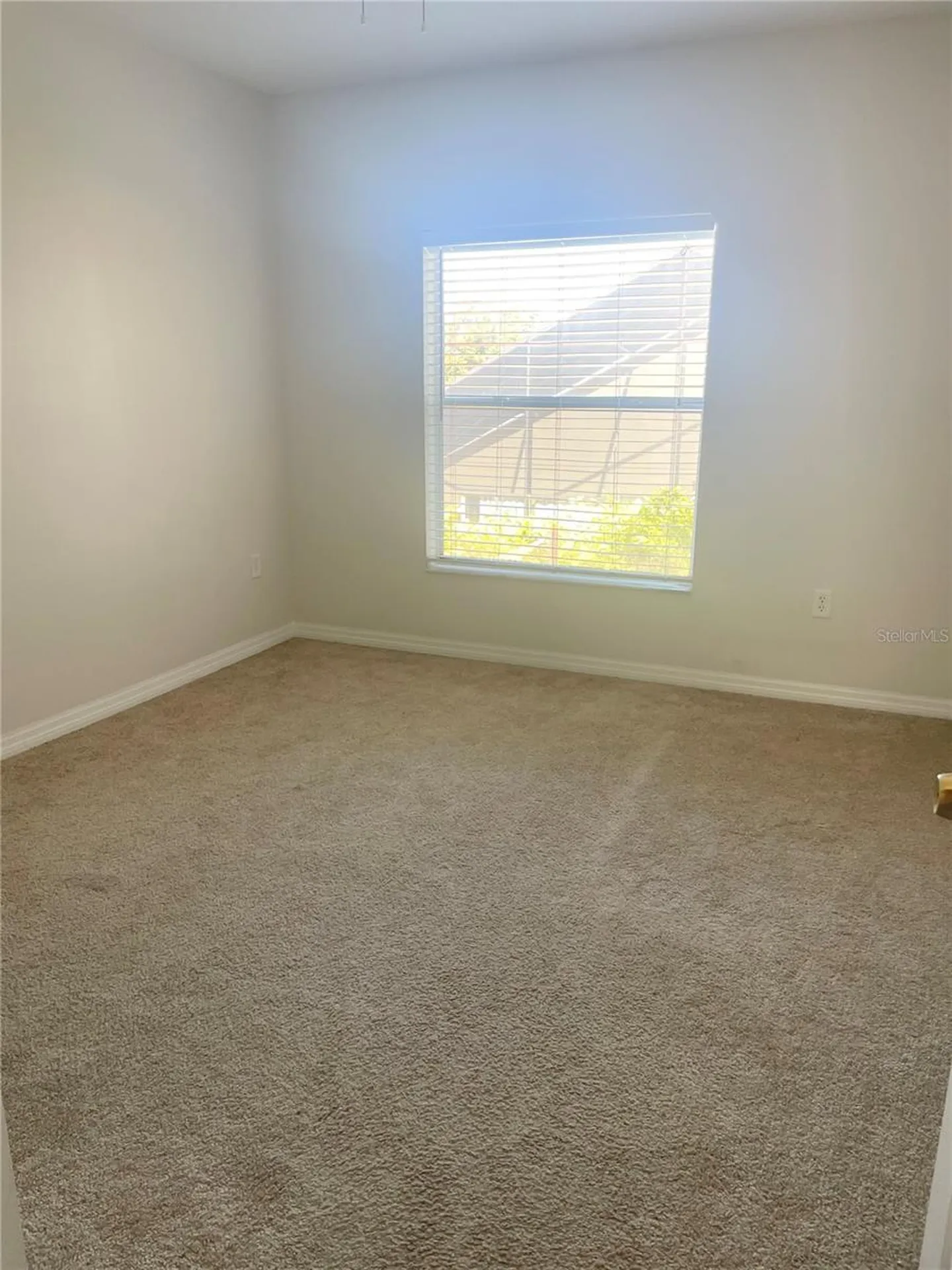 646 Norfolk Street Dunedin FL 34698