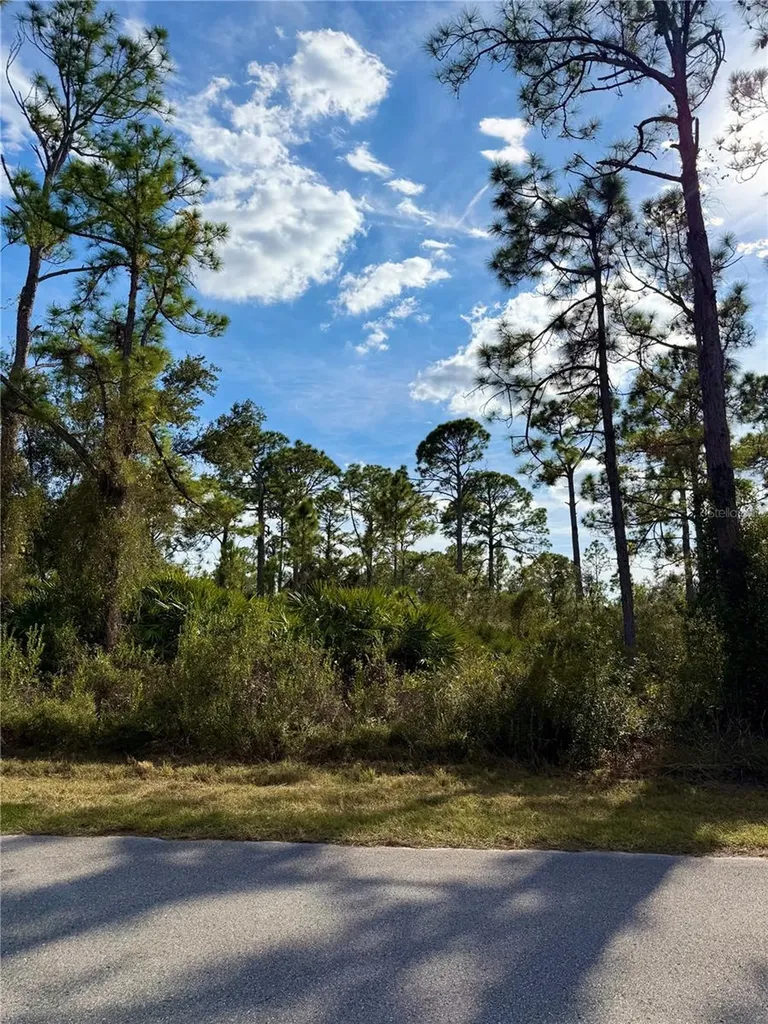 Burwin Avenue North Port FL 34291
