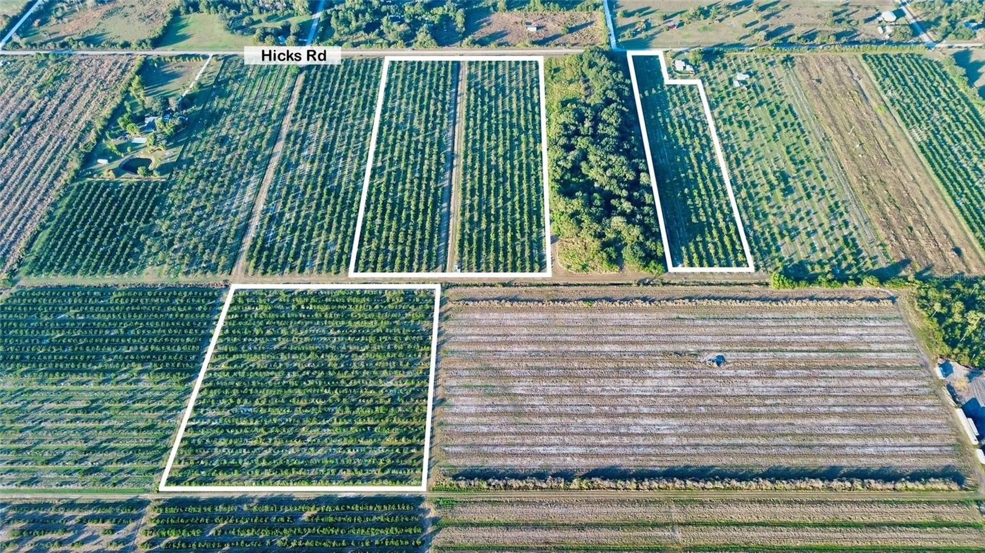 2205 Hicks Road Lorida FL 33857
