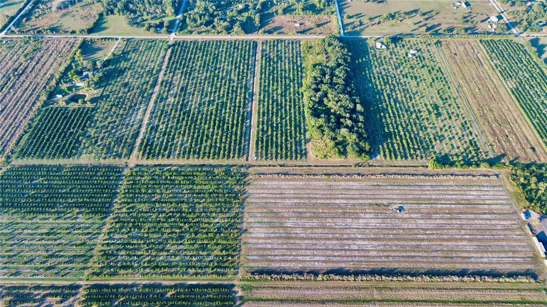 2205 Hicks Road Lorida FL 33857