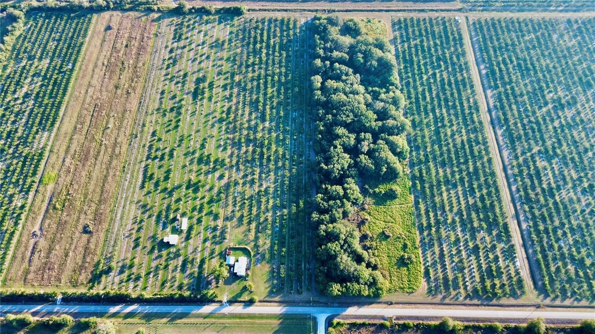 2205 Hicks Road Lorida FL 33857
