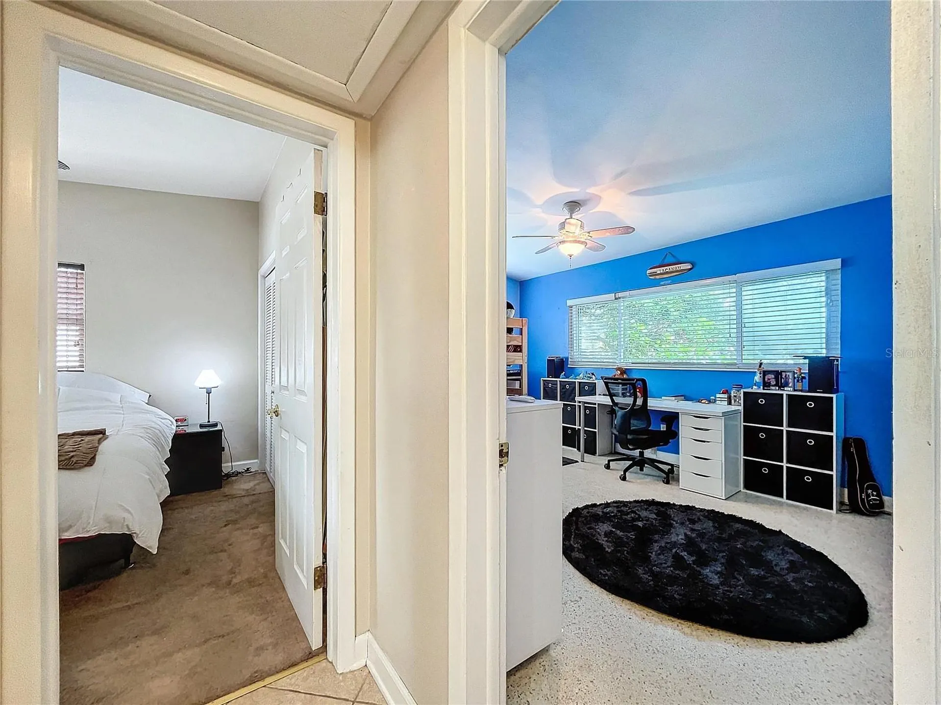 311 Morningside Drive Palm Harbor FL 34683