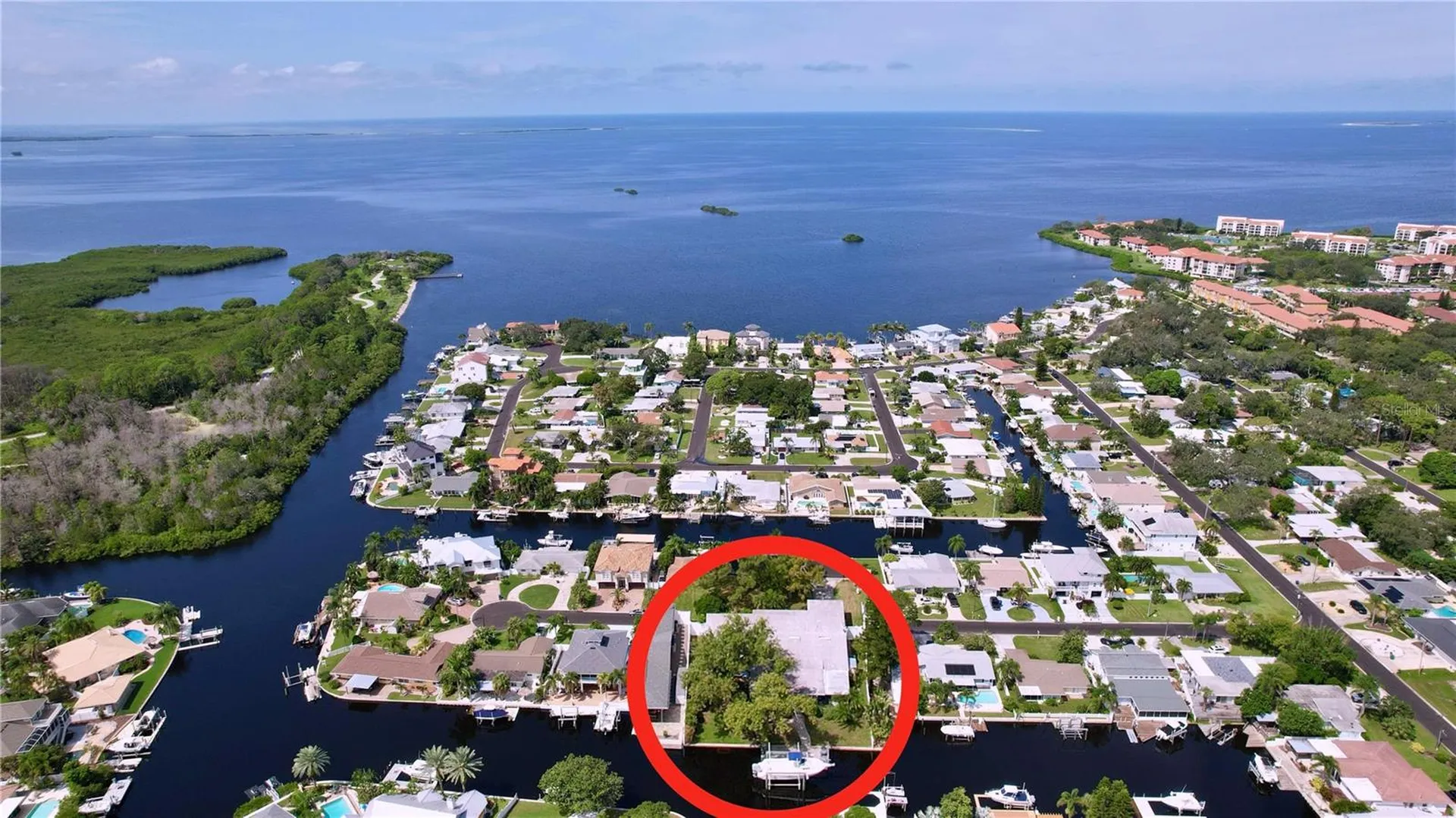 311 Morningside Drive Palm Harbor FL 34683