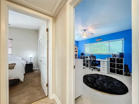 311 Morningside Drive Palm Harbor FL 34683