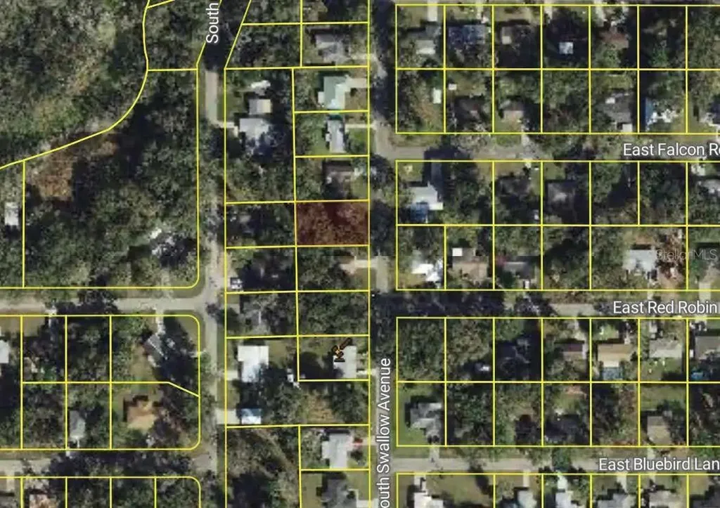 5136 S Swallow Avenue Inverness FL 34452