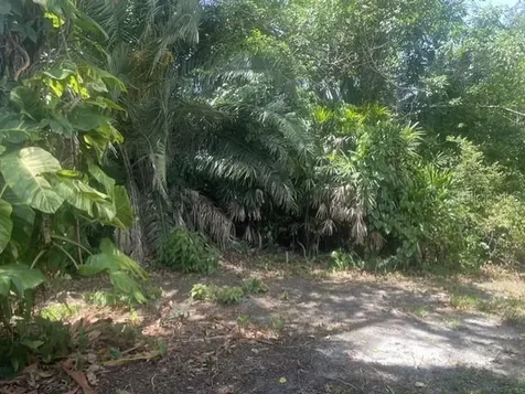 1856 Debbie Street Sarasota FL 34231