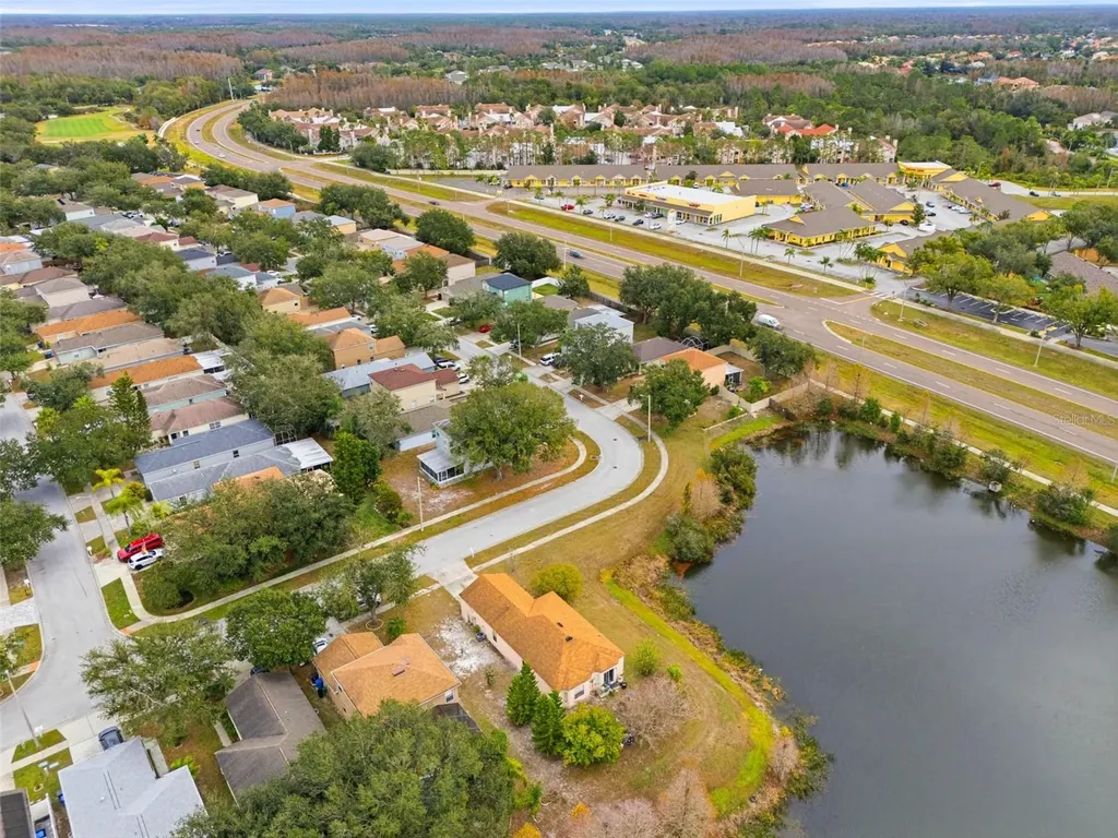 10417 Blackmore Drive Tampa FL 33647