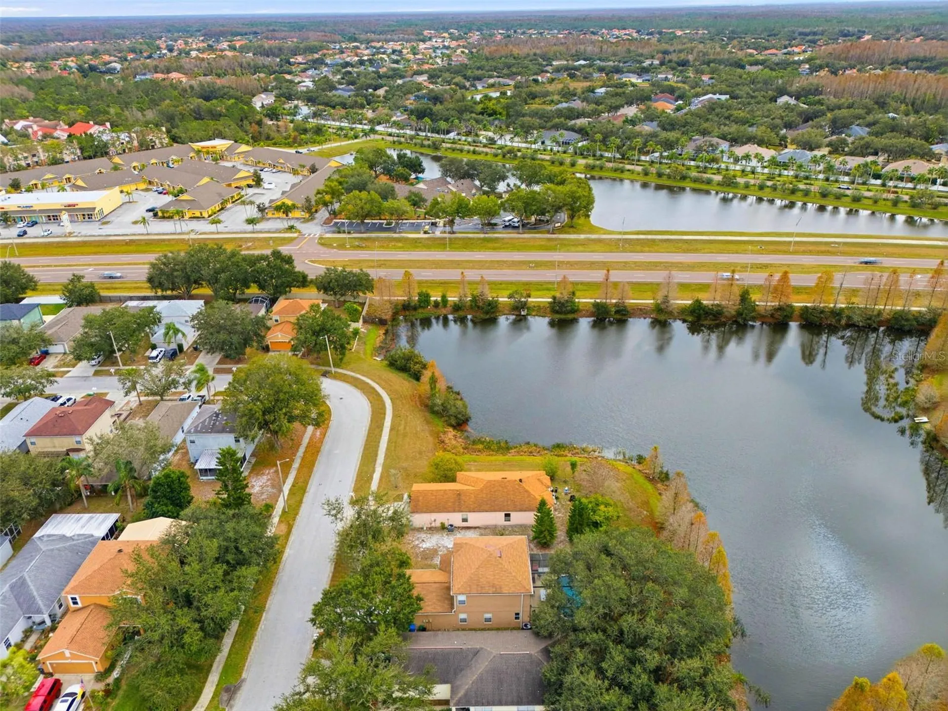 10417 Blackmore Drive Tampa FL 33647