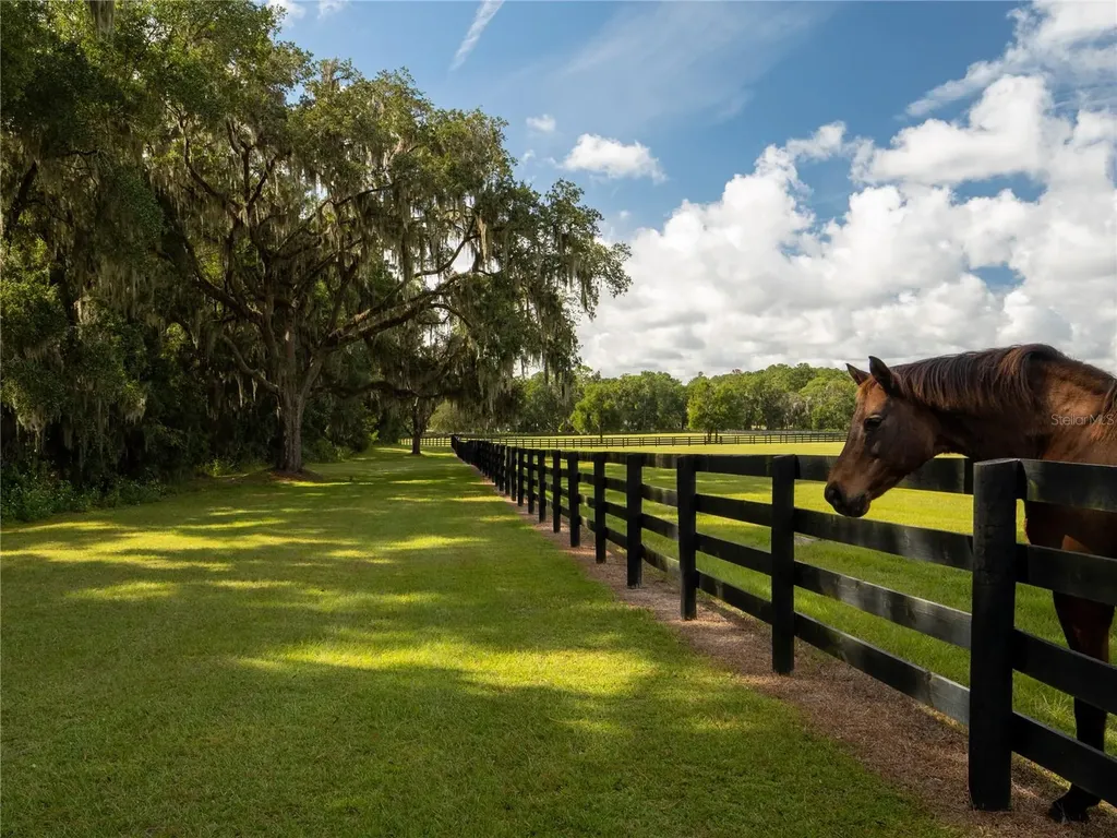 2875 NW 150th Avenue Ocala FL 34482