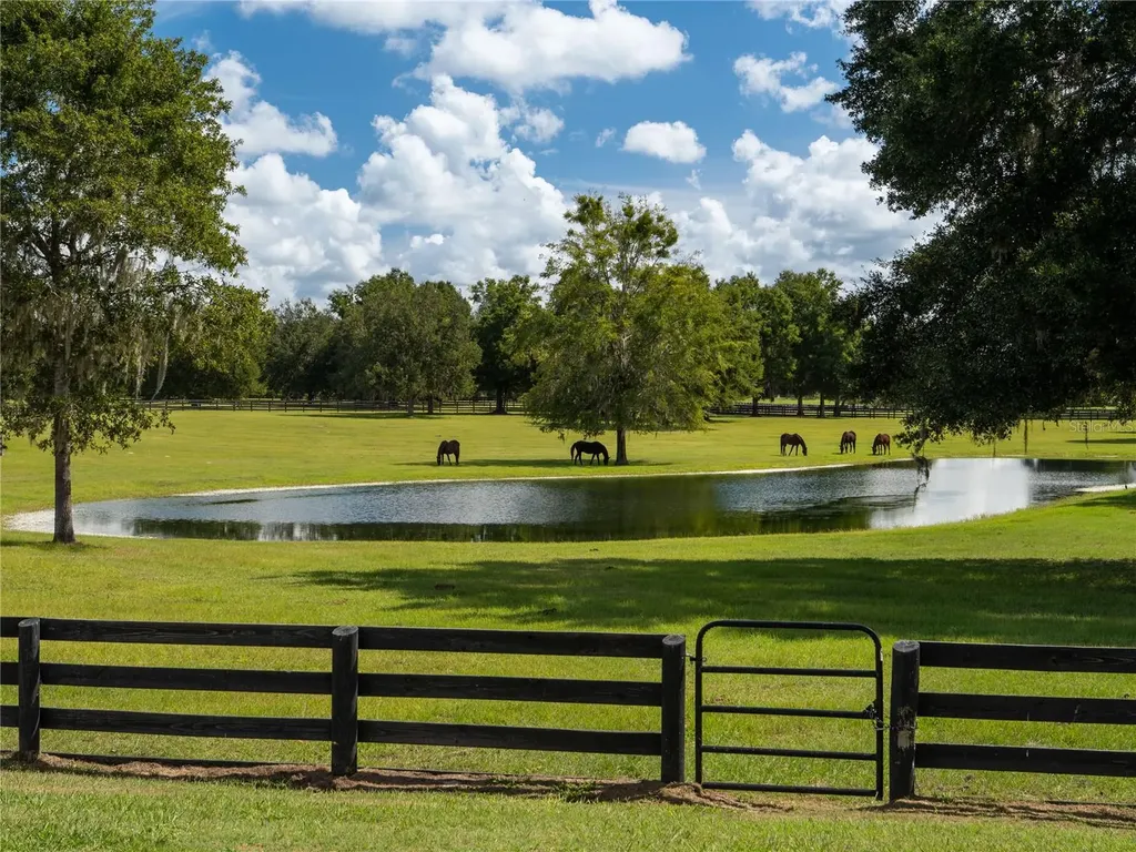 2875 NW 150th Avenue Ocala FL 34482