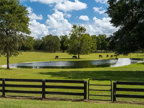 2875 NW 150th Avenue Ocala FL 34482