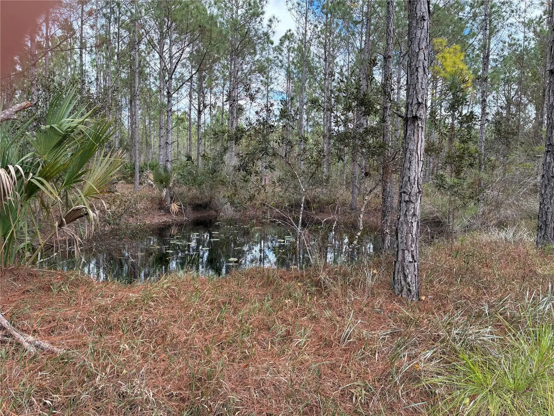 0 Boice Lane Ormond Beach FL 32174