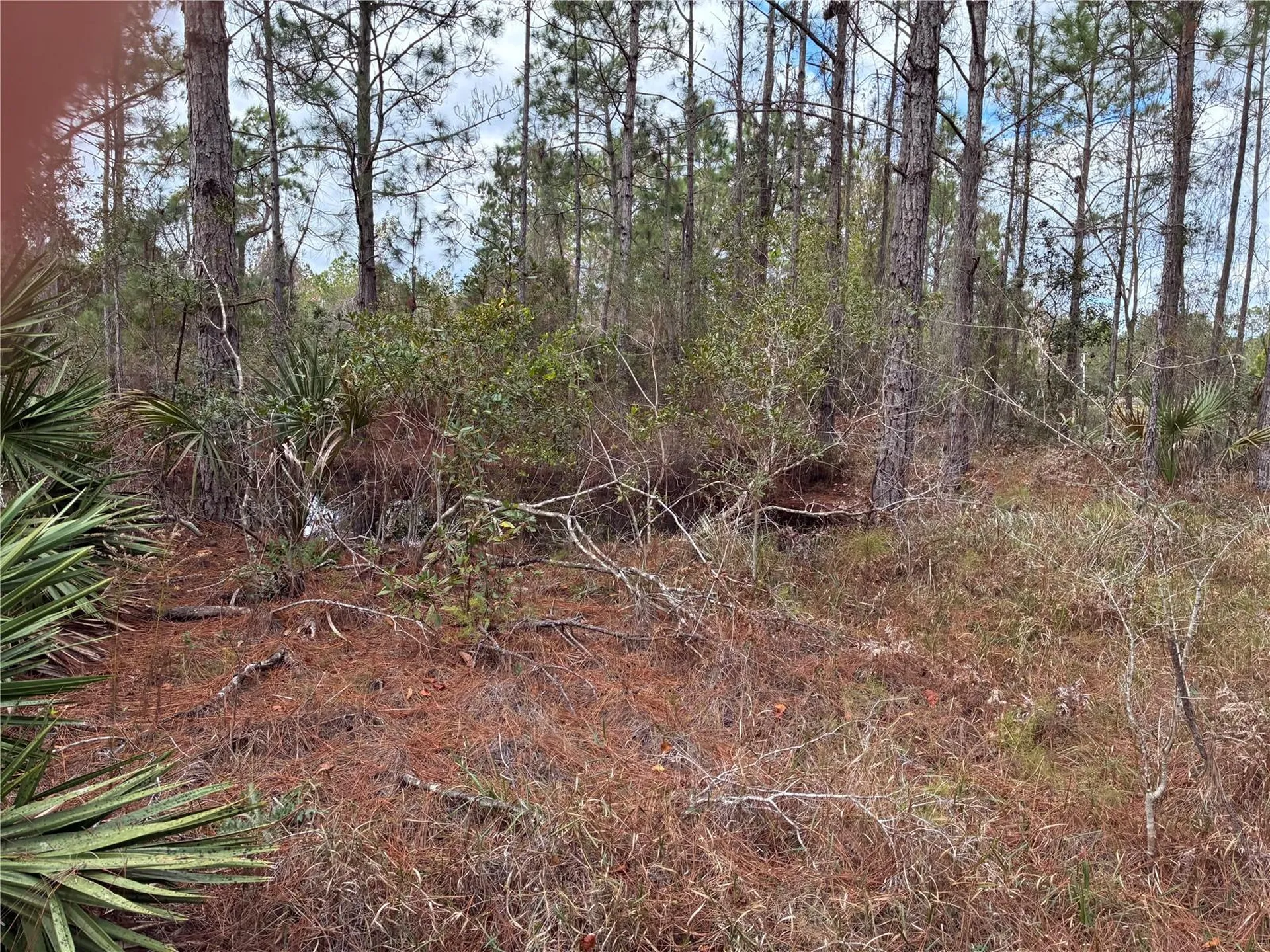 0 Boice Lane Ormond Beach FL 32174