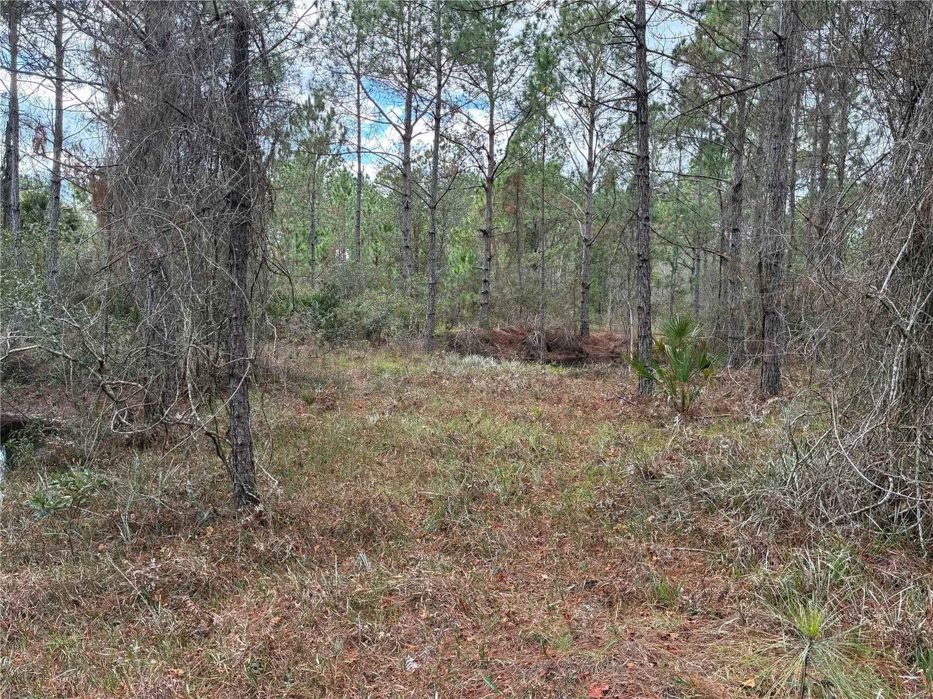 0 Boice Lane Ormond Beach FL 32174