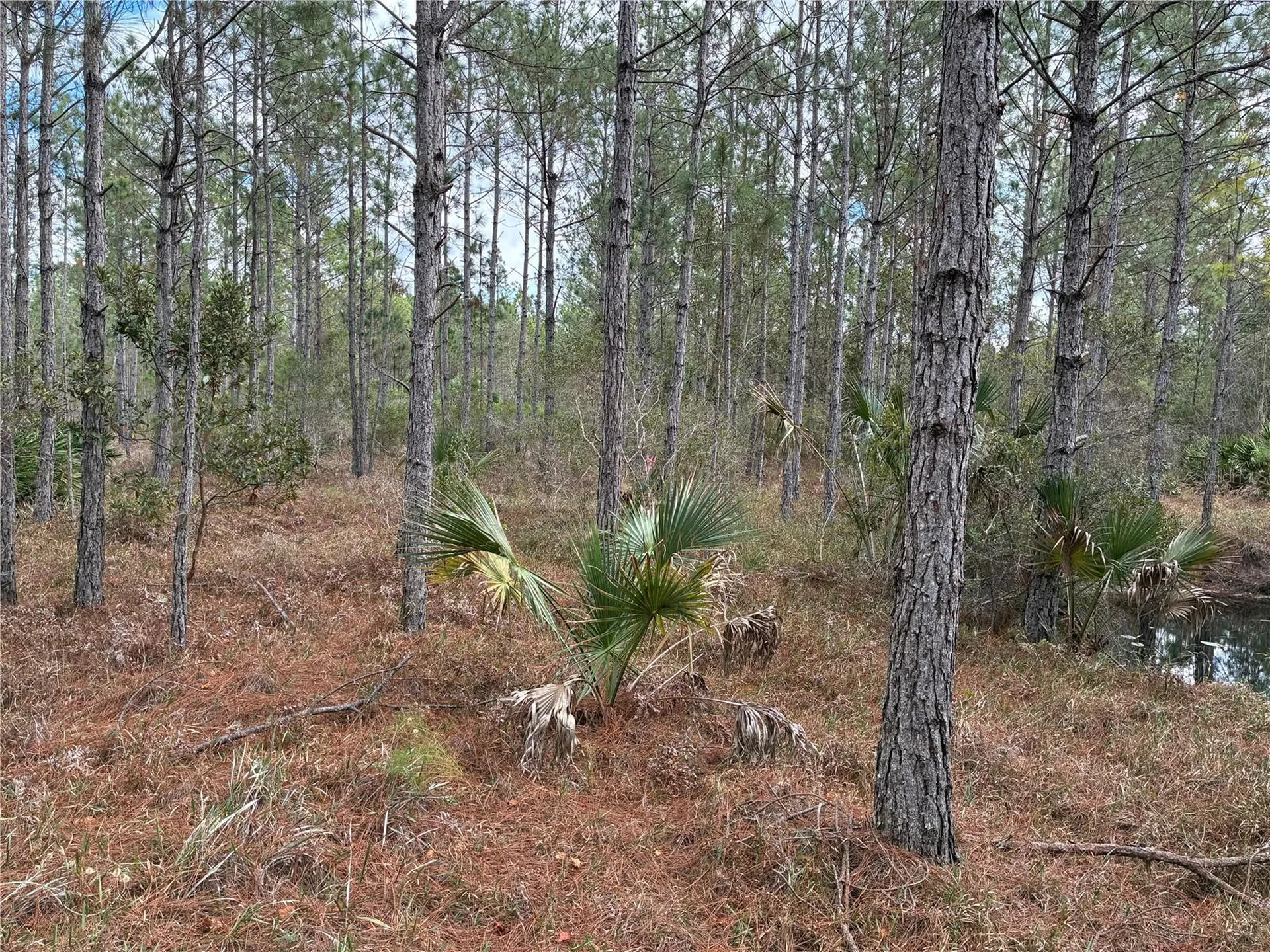 0 Boice Lane Ormond Beach FL 32174