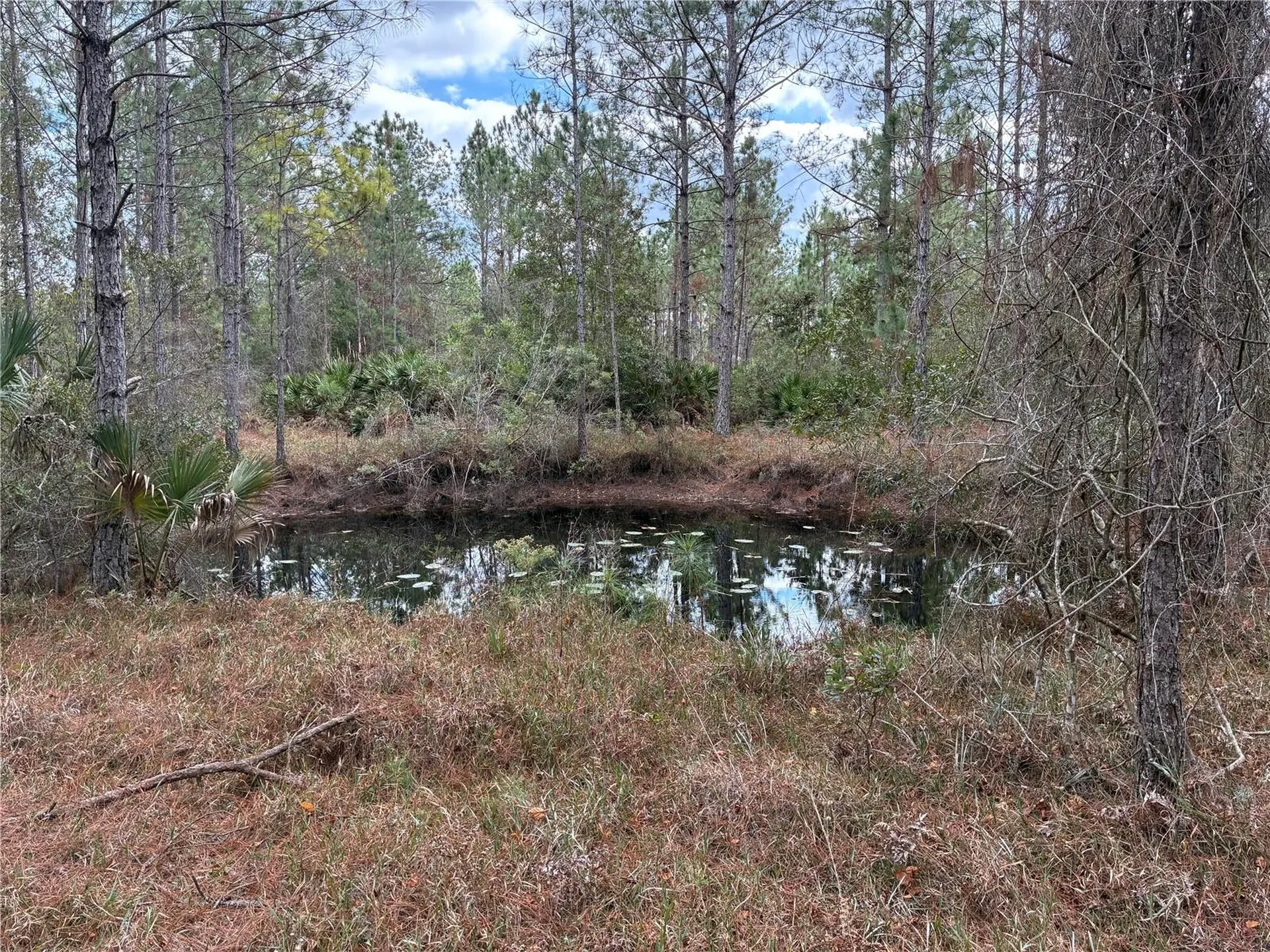 0 Boice Lane Ormond Beach FL 32174