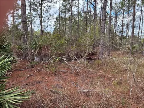 0 Boice Lane Ormond Beach FL 32174