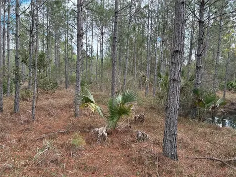 0 Boice Lane Ormond Beach FL 32174