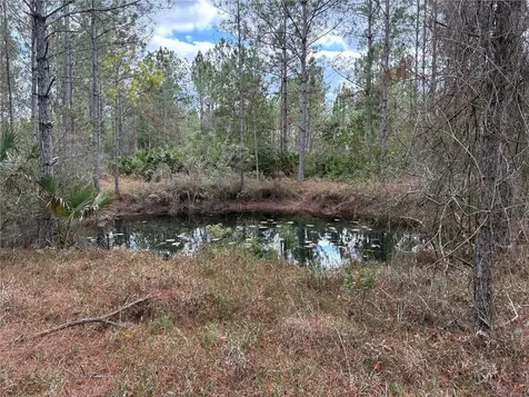0 Boice Lane Ormond Beach FL 32174