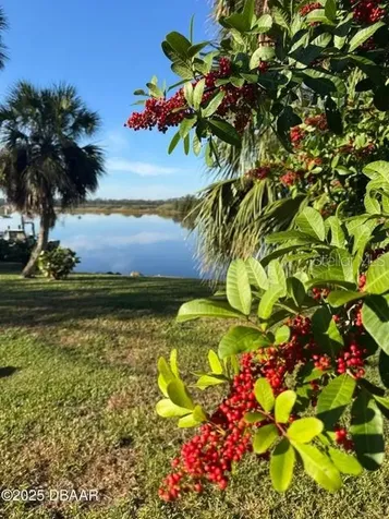 3780 John Anderson Drive Ormond Beach FL 32176