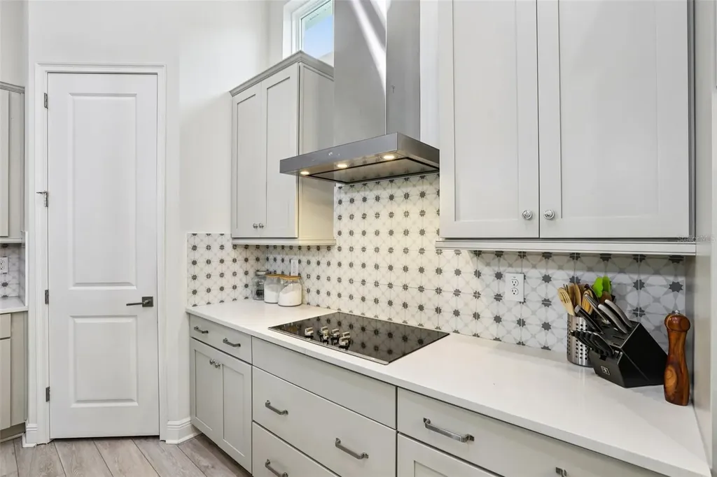 28664 Cozy Creek Drive Wesley Chapel FL 33543