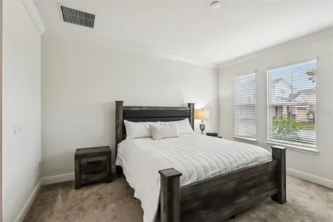 28664 Cozy Creek Drive Wesley Chapel FL 33543