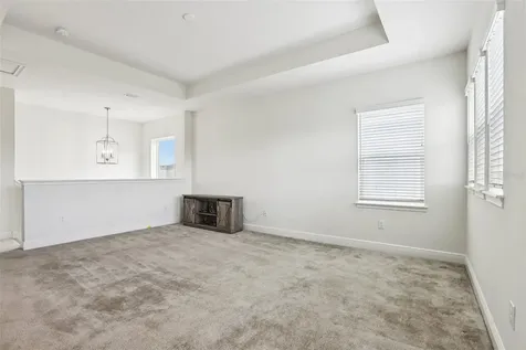 28664 Cozy Creek Drive Wesley Chapel FL 33543