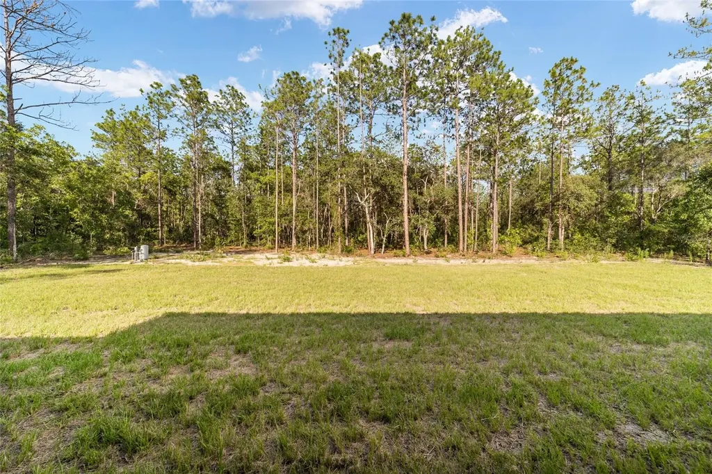 6997 SW 138th Terrace Ocala FL 34481