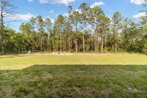 6997 SW 138th Terrace Ocala FL 34481