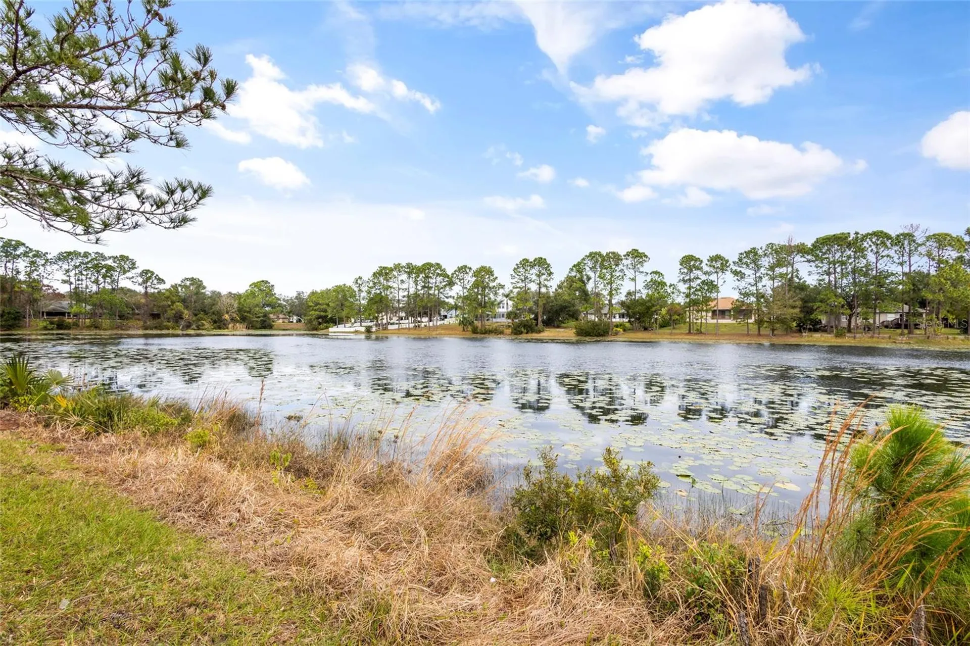1566 Findlay Street Deltona FL 32725