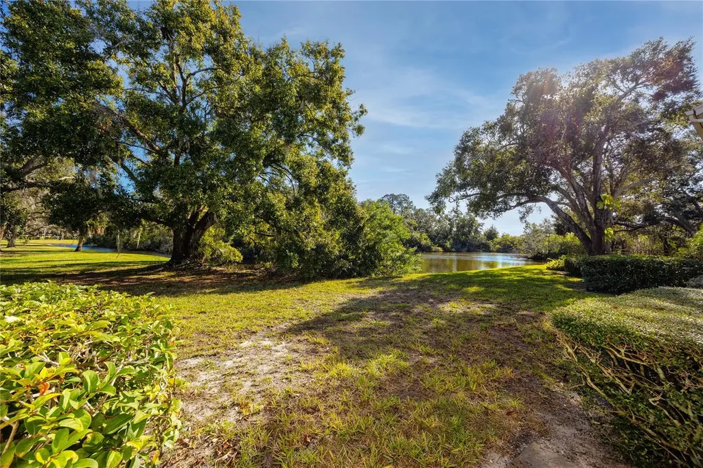 209 Cypress Court Oldsmar FL 34677