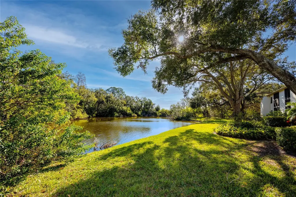 209 Cypress Court Oldsmar FL 34677