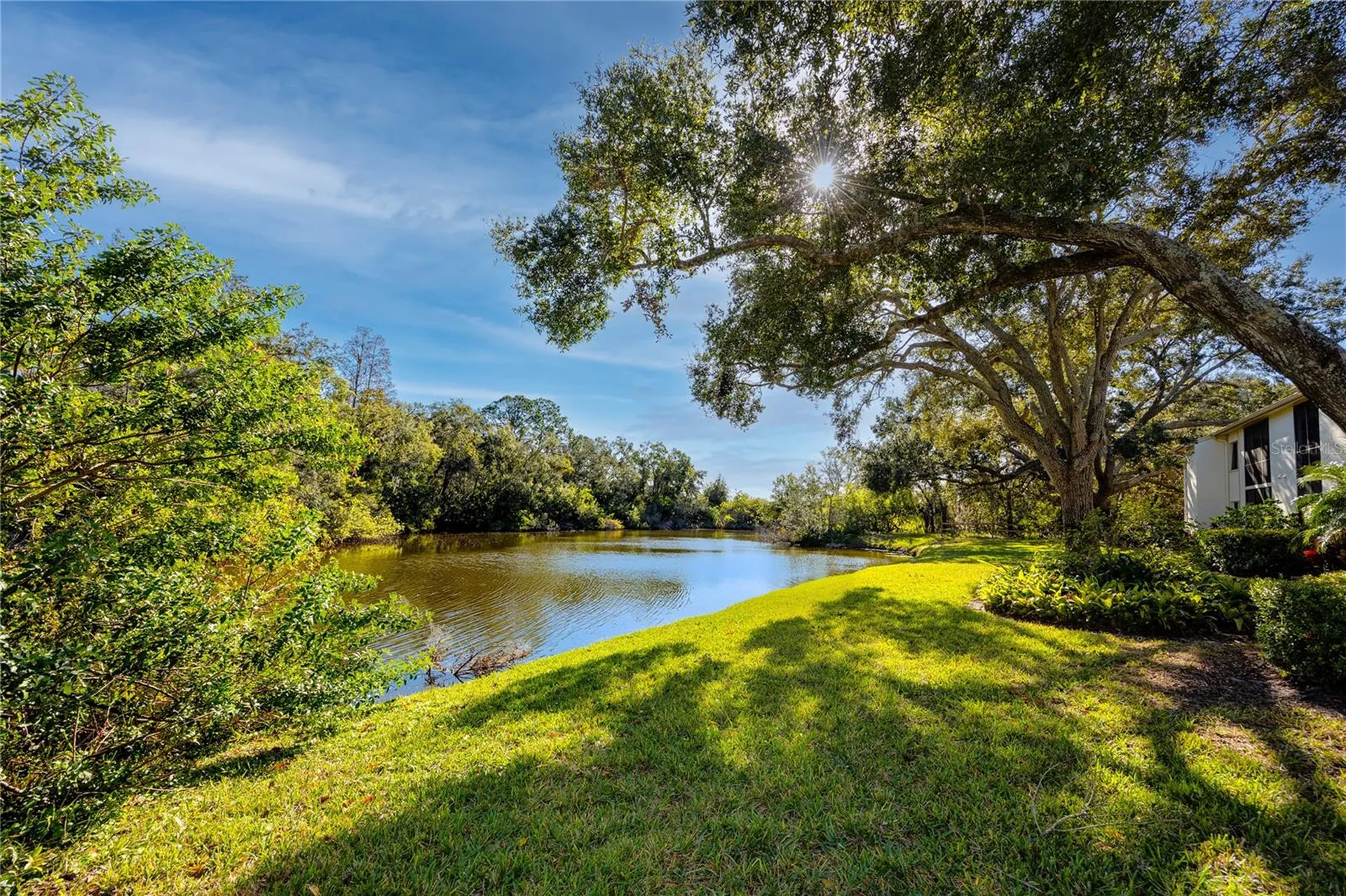209 Cypress Court Oldsmar FL 34677
