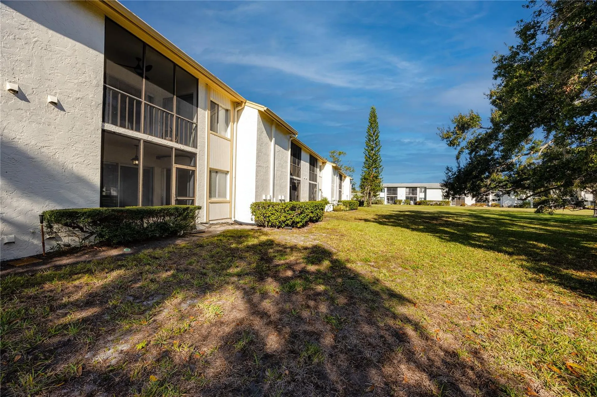 209 Cypress Court Oldsmar FL 34677